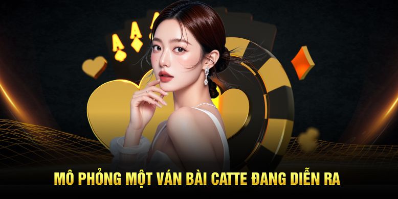 Mô phỏng một ván bài catte đang diễn ra