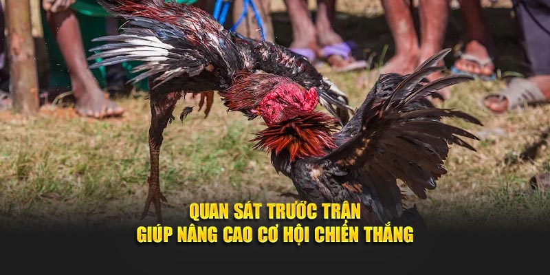 Quan sát trước trận giúp nâng cao cơ hội chiến thắng